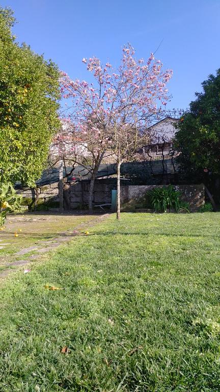 Casa Das Vendas Bagian luar foto